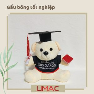 Gấu bông tốt nghiệp - Mẫu 2