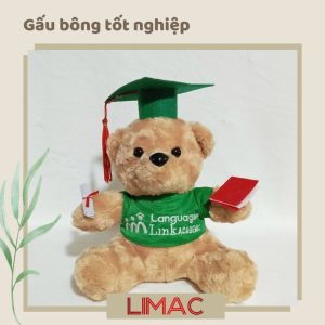 Gấu bông tốt nghiệp - Mẫu 3