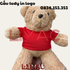 Gấu tedy in logo
