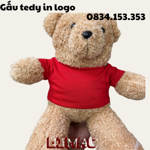 Gấu tedy in logo